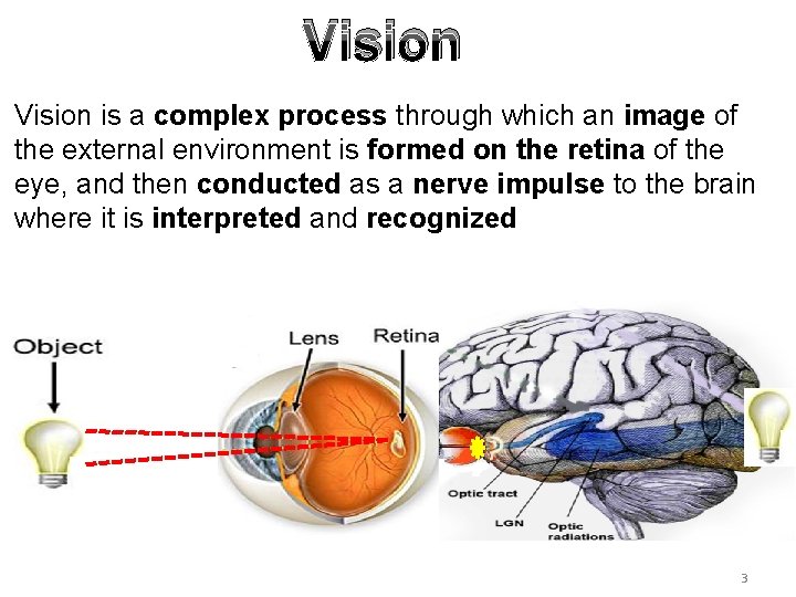Vision is a complex process through which an image of the external environment is