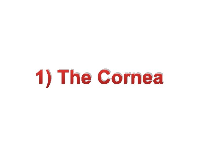 1) The Cornea 