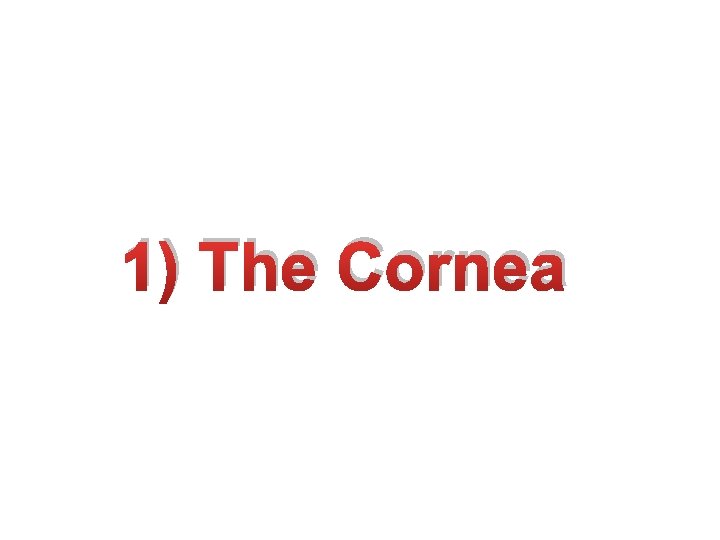 1) The Cornea 1) The Cornea