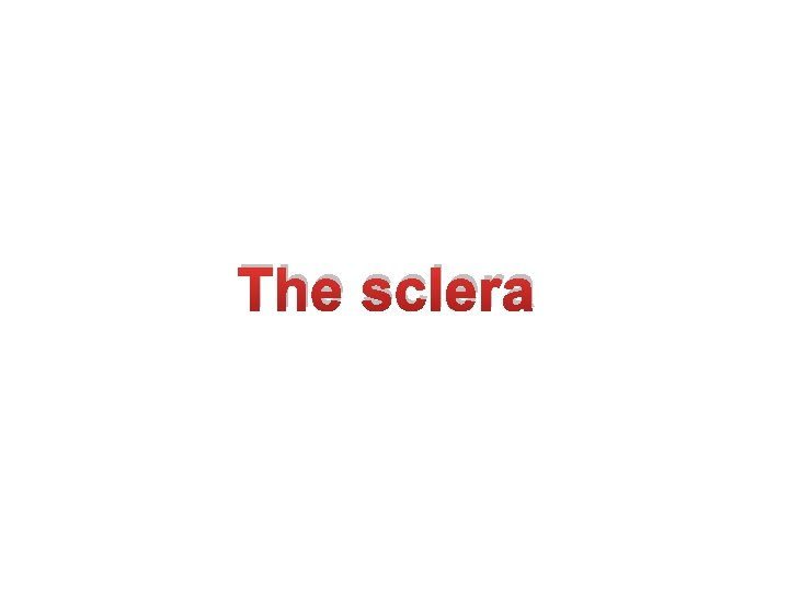 The sclera 