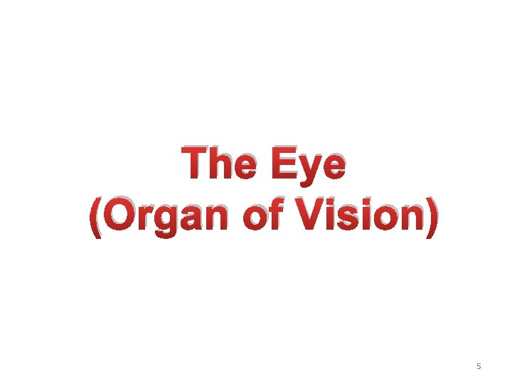 The Eye (Organ of Vision) 5 