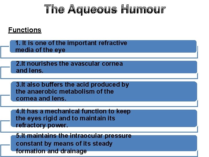 The Aqueous Humour Functions 1. It is one of the important refractive media of