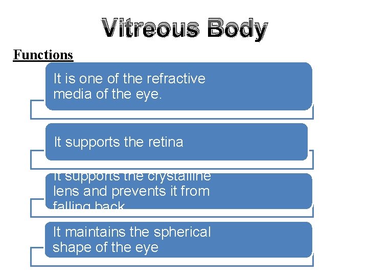 Vitreous Body Functions It is one of the refractive media of the eye. It