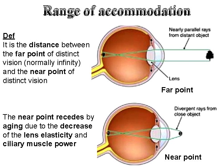 Range of accommodation Def It is the distance between the far point of distinct Range of accommodation Def It is the distance between the far point of distinct