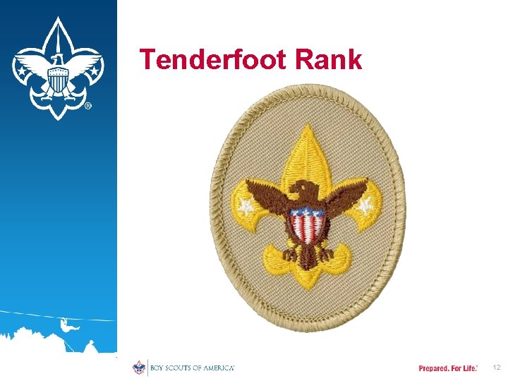 Tenderfoot Rank 12 