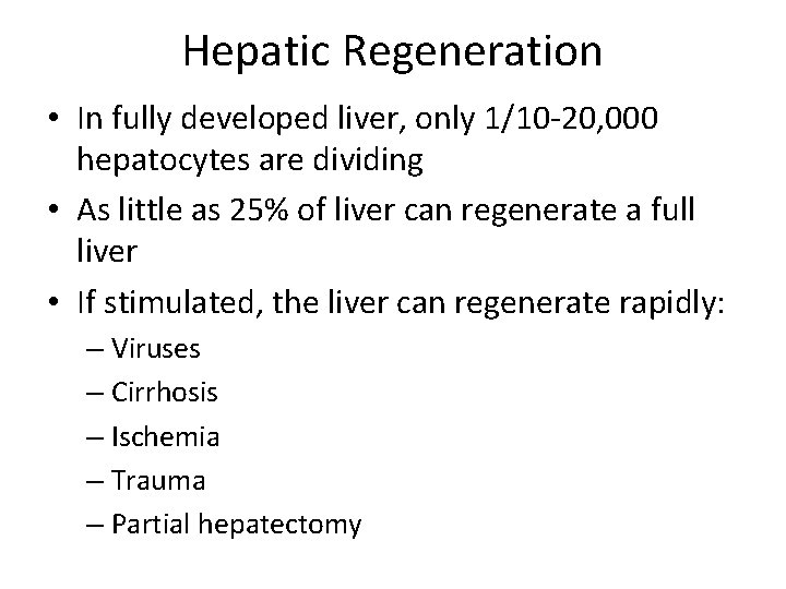 Hepatic Regeneration • In fully developed liver, only 1/10 -20, 000 hepatocytes are dividing