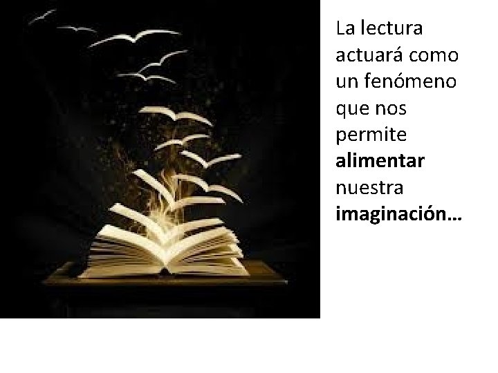 La lectura actuará como un fenómeno que nos permite alimentar nuestra imaginación… 