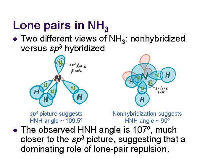 Lone pairs in NH 3 l Two different views of NH 3: nonhybridized versus