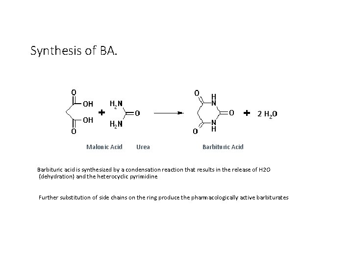Synthesis of BA. Malonic Acid Urea Barbituric Acid Barbituric acid is synthesized by a