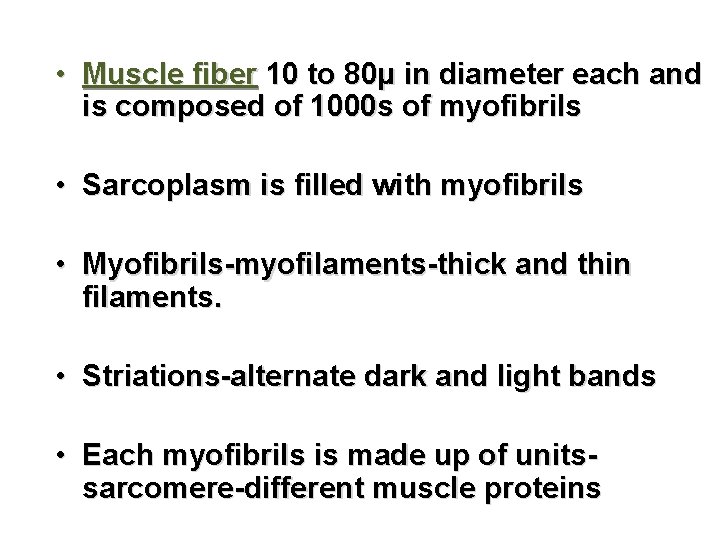 • Muscle fiber 10 to 80μ in diameter each and is composed of  • Muscle fiber 10 to 80μ in diameter each and is composed of