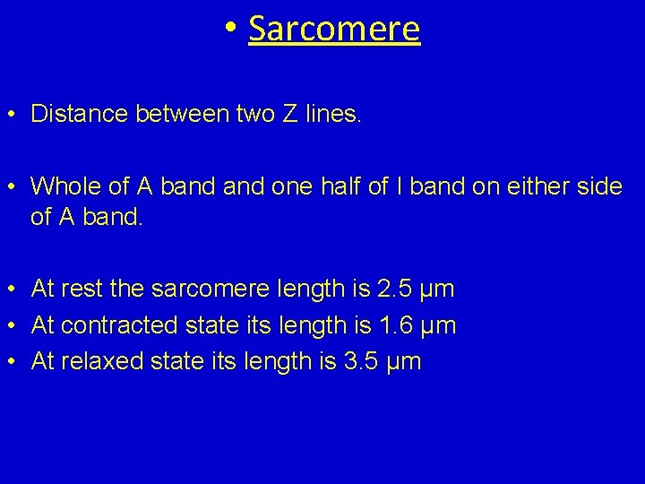 • Sarcomere • Distance between two Z lines. • Whole of A band  • Sarcomere • Distance between two Z lines. • Whole of A band