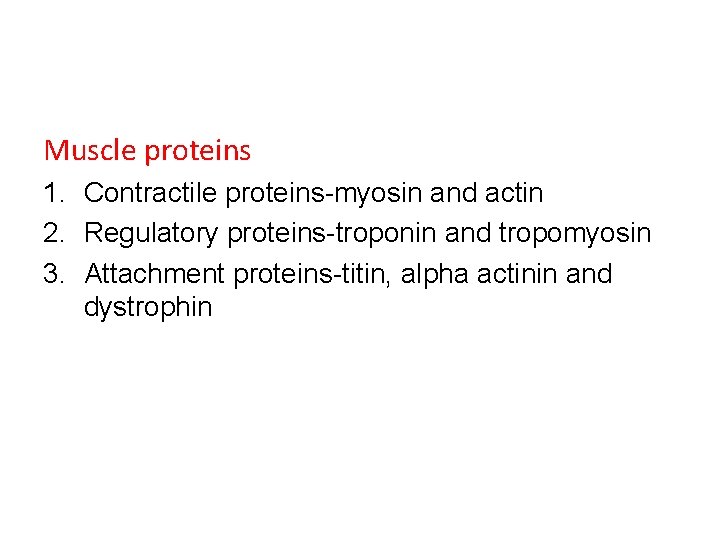 Muscle proteins 1. Contractile proteins-myosin and actin 2. Regulatory proteins-troponin and tropomyosin 3. Attachment Muscle proteins 1. Contractile proteins-myosin and actin 2. Regulatory proteins-troponin and tropomyosin 3. Attachment