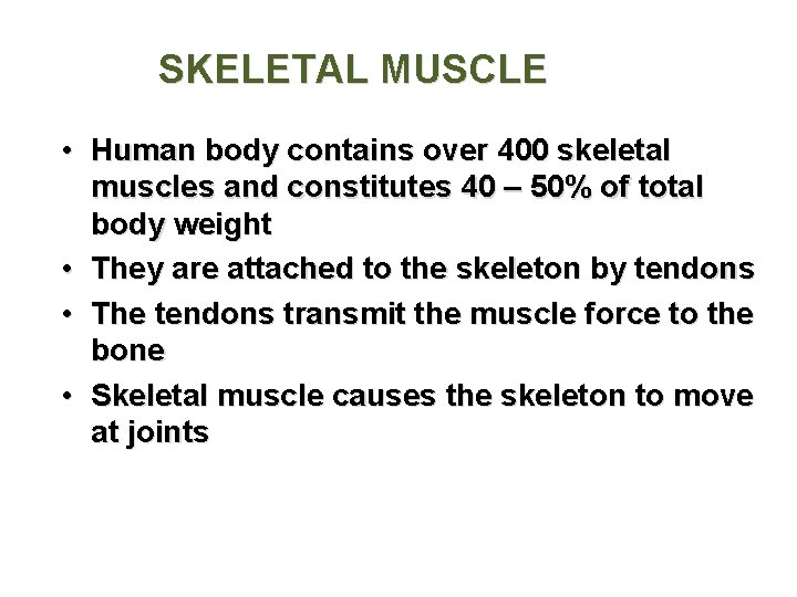 SKELETAL MUSCLE • Human body contains over 400 skeletal muscles and constitutes 40 – SKELETAL MUSCLE • Human body contains over 400 skeletal muscles and constitutes 40 –