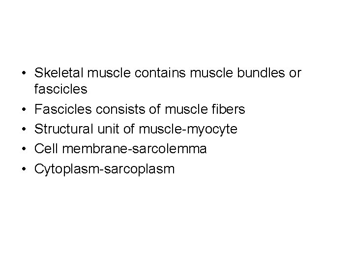 • Skeletal muscle contains muscle bundles or fascicles • Fascicles consists of muscle  • Skeletal muscle contains muscle bundles or fascicles • Fascicles consists of muscle