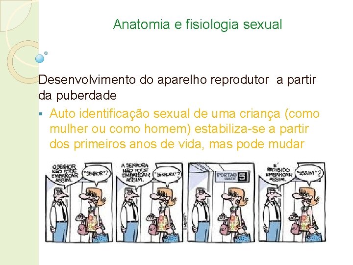 Anatomia e fisiologia sexual Desenvolvimento do aparelho reprodutor a partir da puberdade § Auto