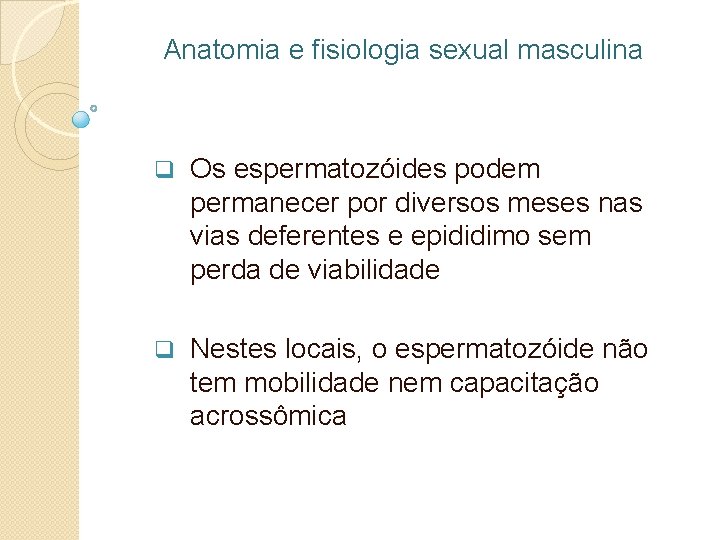 Anatomia e fisiologia sexual masculina q Os espermatozóides podem permanecer por diversos meses nas