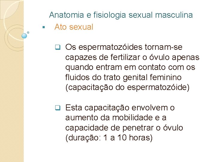 Anatomia e fisiologia sexual masculina § Ato sexual q Os espermatozóides tornam-se capazes de