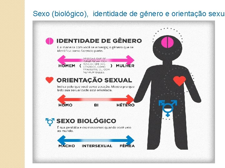 Sexo (biológico), identidade de gênero e orientação sexua 