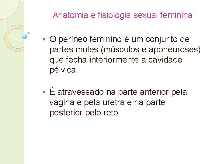 Anatomia e fisiologia sexual feminina § O períneo feminino é um conjunto de partes