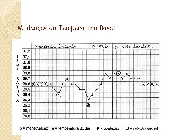 Mudanças da Temperatura Basal 