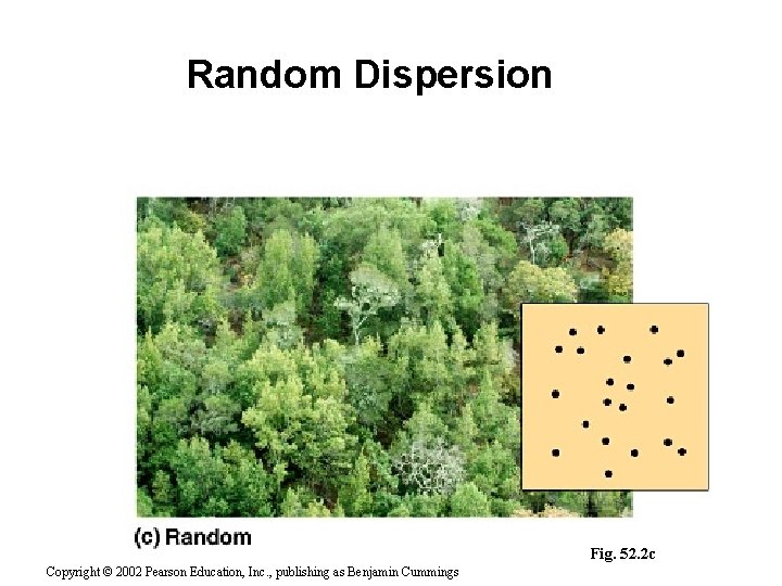 Random Dispersion Fig. 52. 2 c Copyright © 2002 Pearson Education, Inc. , publishing