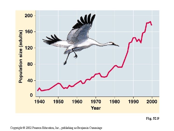 Fig. 52. 9 Copyright © 2002 Pearson Education, Inc. , publishing as Benjamin Cummings