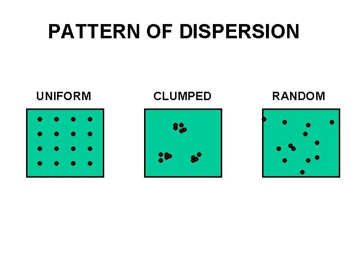 PATTERN OF DISPERSION UNIFORM CLUMPED RANDOM 