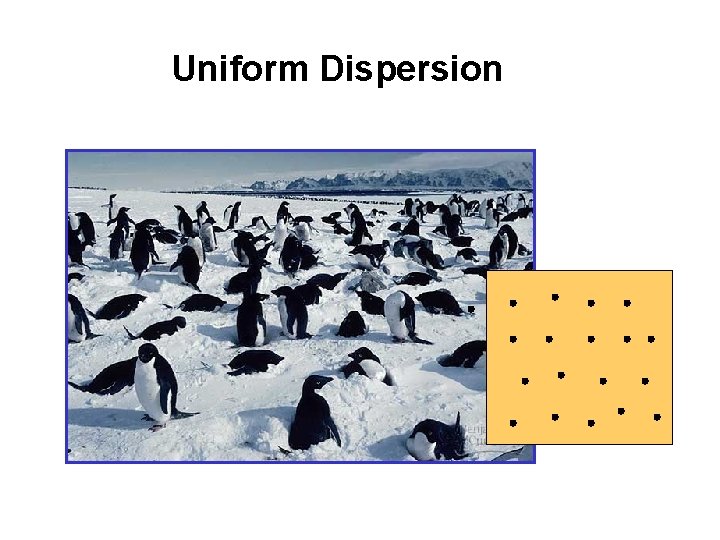 Uniform Dispersion 