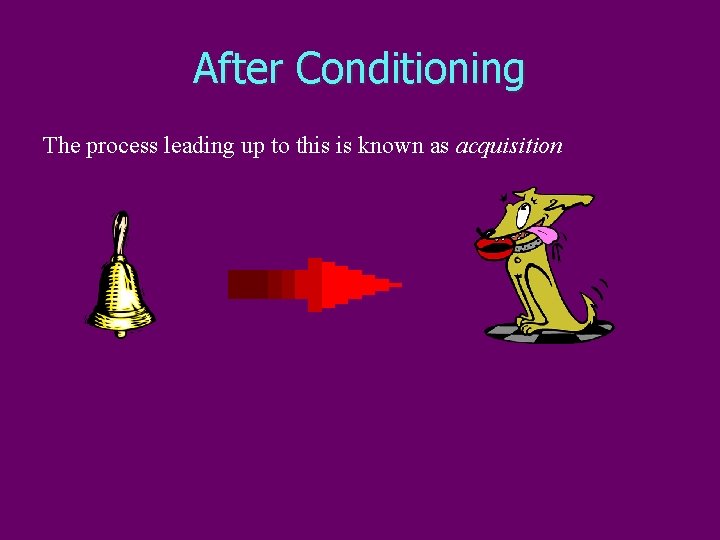 After Conditioning The process leading up to this is known as acquisition 