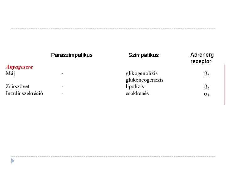 Paraszimpatikus Szimpatikus Adrenerg receptor 