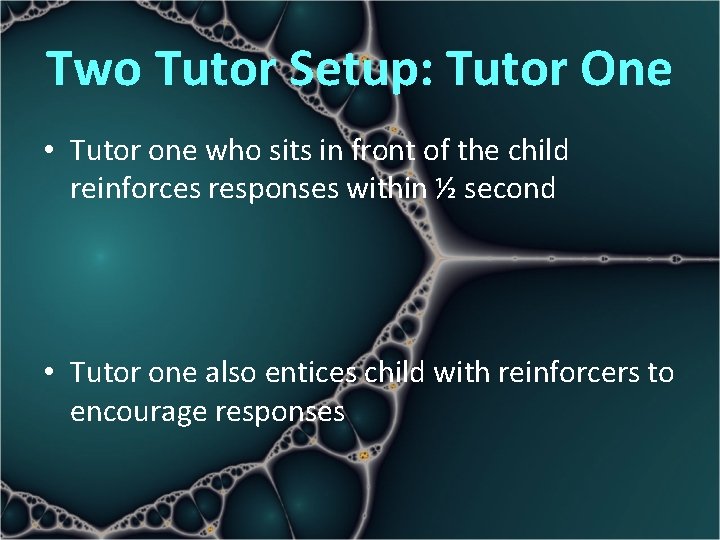 Two Tutor Setup: Tutor One • Tutor one who sits in front of the