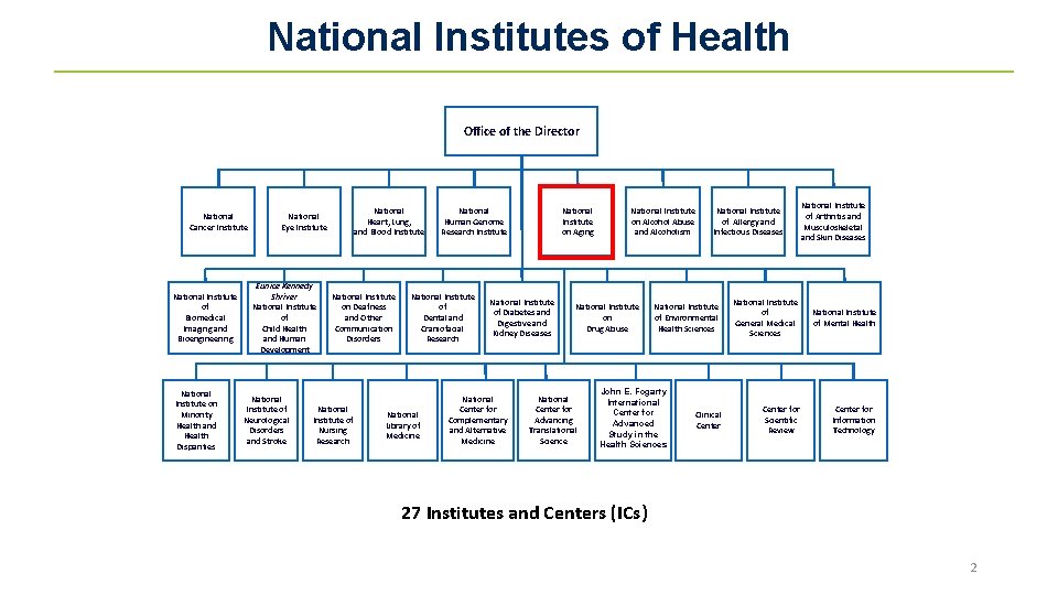 National Institutes of Health Office of the Director National Cancer Institute National Institute of