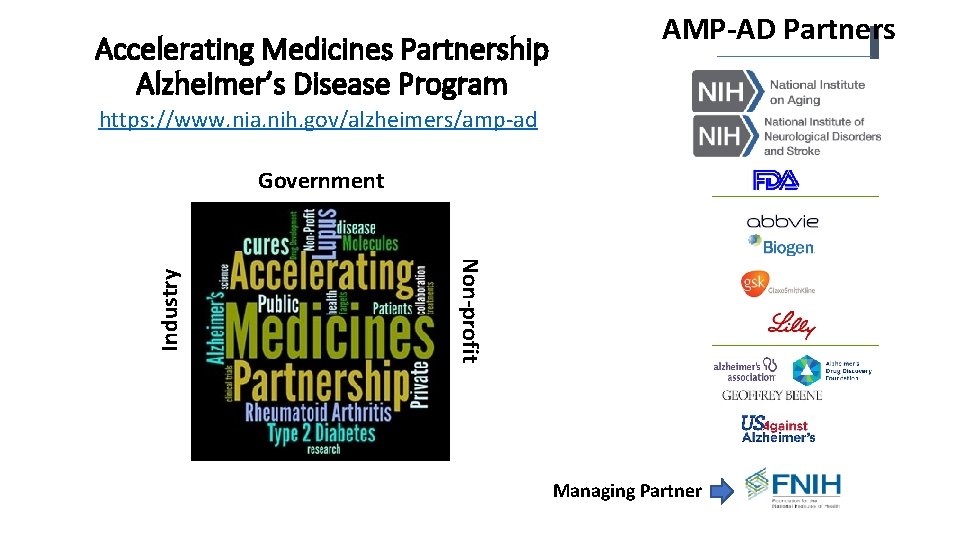Accelerating Medicines Partnership Alzheimer’s Disease Program AMP-AD Partners. Type 2 Dia Industry https: //www.