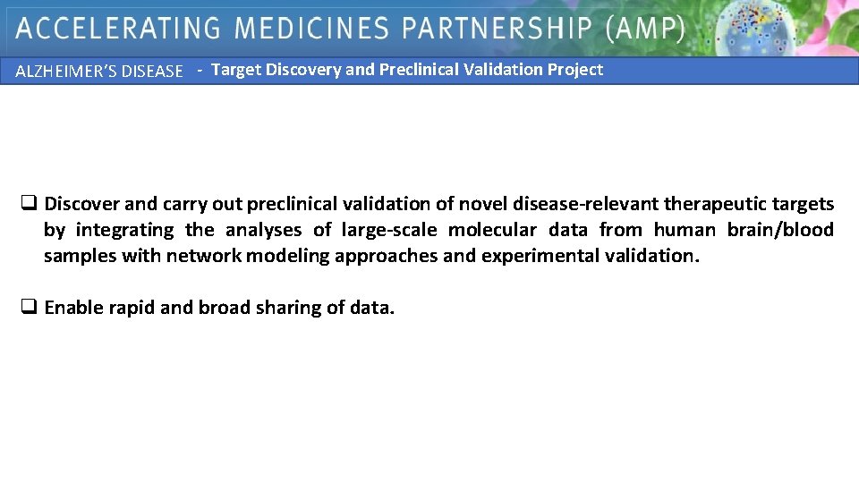 - Target Discovery and Preclinical Validation Project ALZHEIMER’S DISEASE q Discover and carry out