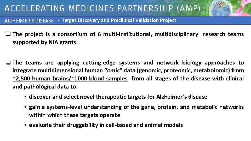 - Target Discovery and Preclinical Validation Project ALZHEIMER’S DISEASE q The project is a