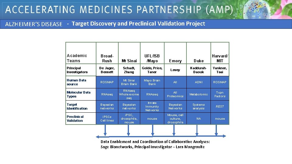 - Target Discovery and Preclinical Validation Project ALZHEIMER’S DISEASE Academic Teams Broad. Rush Mt