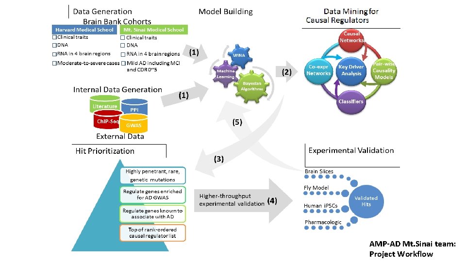AMP-AD Mt. Sinai team: Project Workflow 