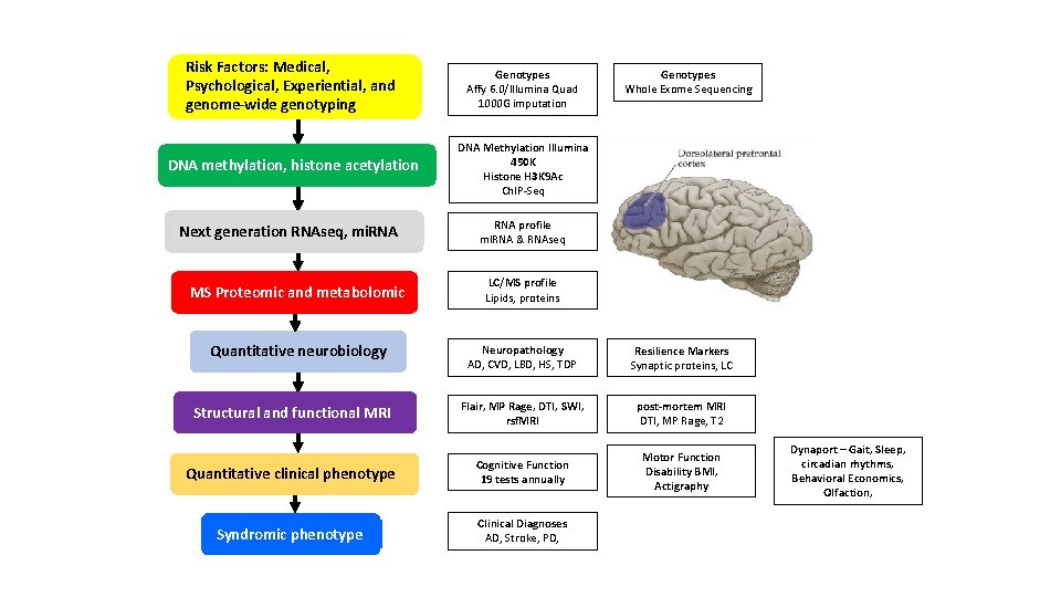 Risk Factors: Medical, Psychological, Experiential, and genome-wide genotyping Genotypes Affy 6. 0/Illumina Quad 1000