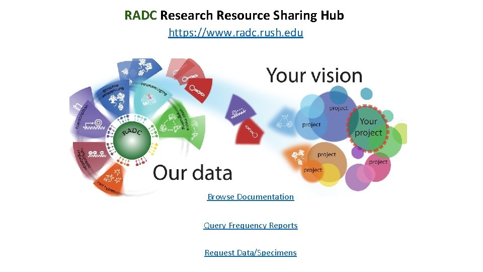 RADC Research Resource Sharing Hub https: //www. radc. rush. edu Browse Documentation Query Frequency