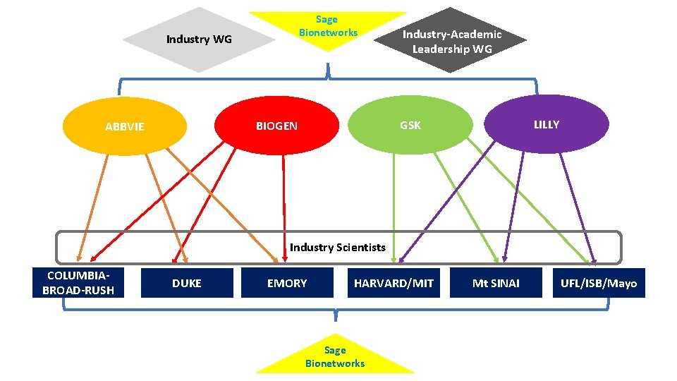 Industry WG Sage Bionetworks LILLY GSK BIOGEN ABBVIE Industry-Academic Leadership WG Industry Scientists COLUMBIABROAD-RUSH