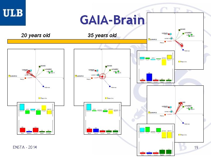 GAIA-Brain 20 years old ENSTA - 2014 35 years old 19 