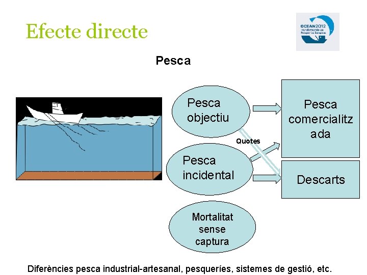 Efecte directe Pesca objectiu Quotes Pesca incidental Pesca comercialitz ada Descarts Mortalitat sense captura
