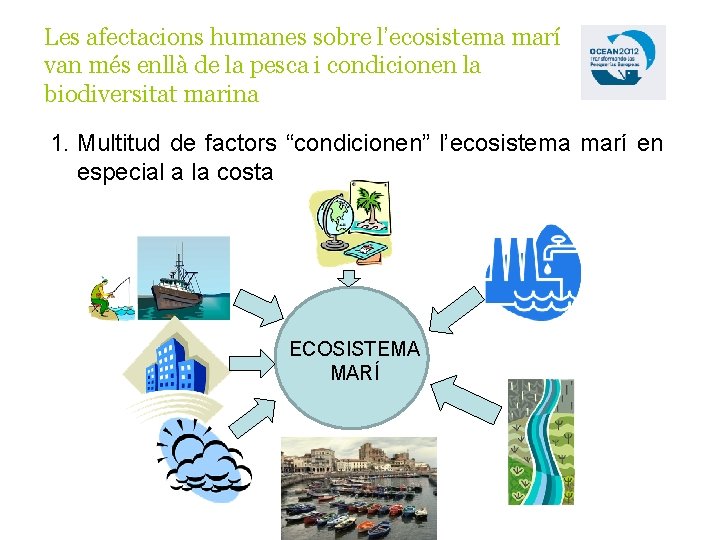 Les afectacions humanes sobre l’ecosistema marí van més enllà de la pesca i condicionen