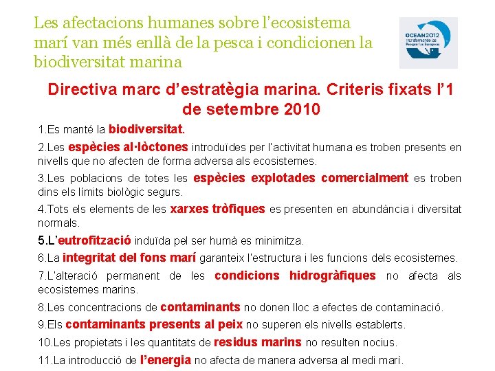 Les afectacions humanes sobre l’ecosistema marí van més enllà de la pesca i condicionen