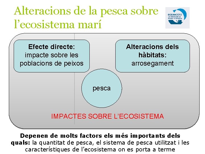 Alteracions de la pesca sobre l’ecosistema marí Efecte directe: impacte sobre les poblacions de