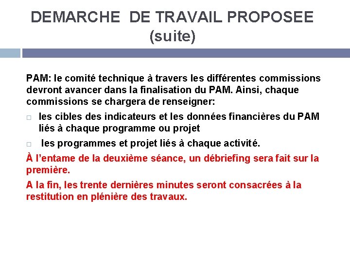 DEMARCHE DE TRAVAIL PROPOSEE (suite) PAM: le comité technique à travers les différentes commissions