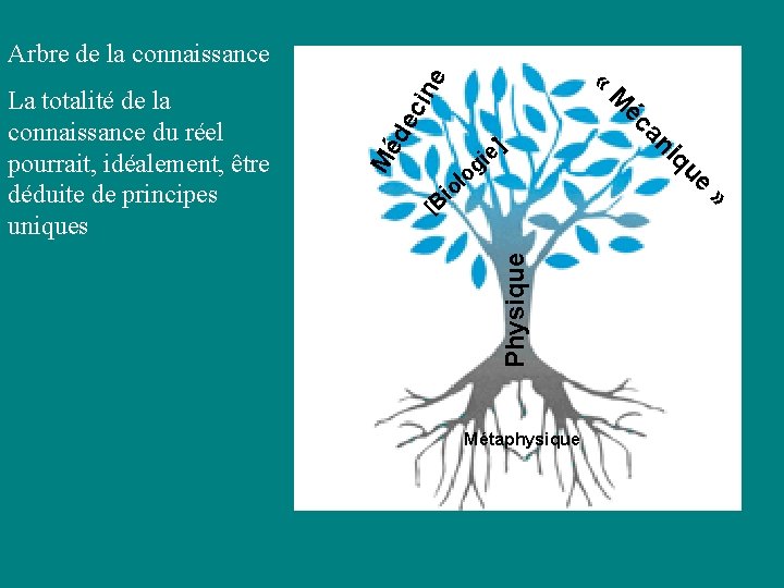 Physique » ue [B iq o l io an ] e i g éc