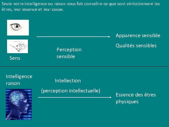 Seule notre intelligence ou raison nous fait connaître ce que sont véritablement les êtres, Seule notre intelligence ou raison nous fait connaître ce que sont véritablement les êtres,