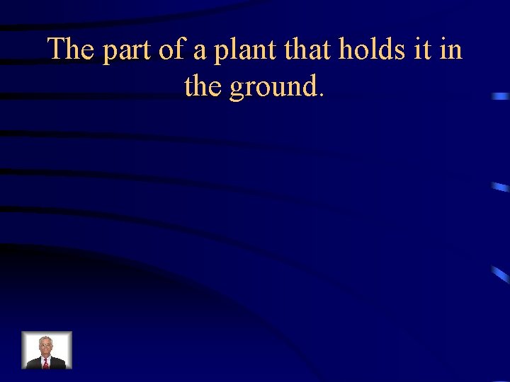 The part of a plant that holds it in the ground. 