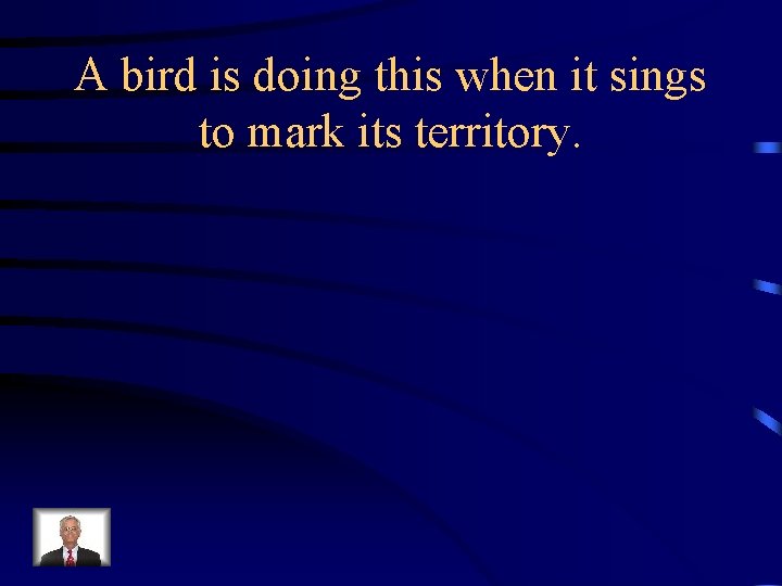 A bird is doing this when it sings to mark its territory. 